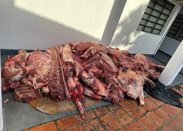 Más de dos toneladas de carne presuntamente de contrabando son incautadas en Remansito
