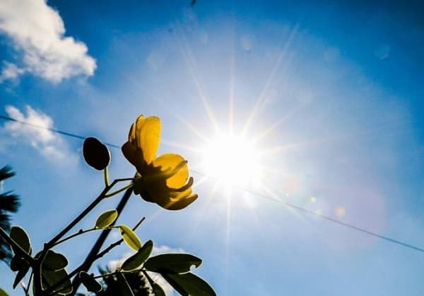 Clima en Paraguay: temperaturas en ascenso y cielos despejados