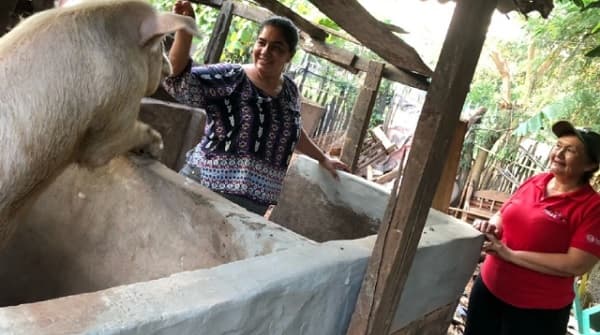 Noticia Positiva: Doña María supera obstáculos y duplica su economía familiar