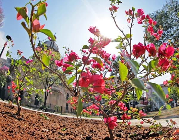 Fin de semana caluroso con posibilidad de chaparrones