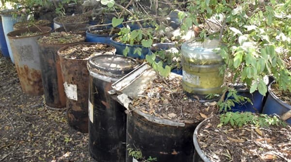 Grave contaminación por toneladas de pilas en descomposición