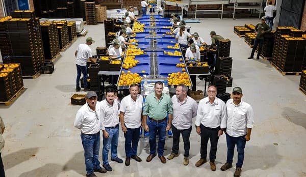 Paraguay realiza segunda exportación de caqui al mercado europeo