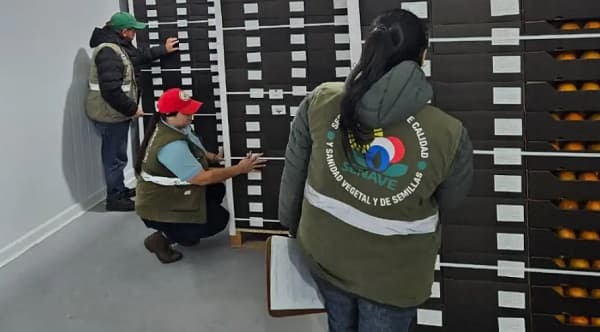 Allanamiento en Senave por coimas: Fiscalía busca responsables