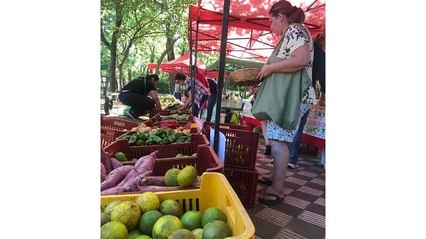 Feria agroecológica y artesanal combina solidaridad y sabores