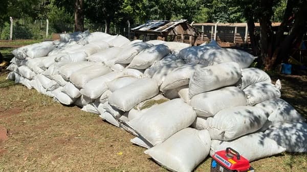 Incautan más de cinco toneladas de marihuana y armas en Amambay