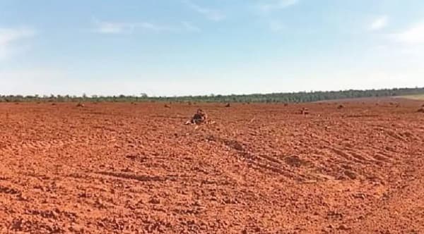 Impunidad Ambiental: El caso de Ulises Rodríguez Teixeira
