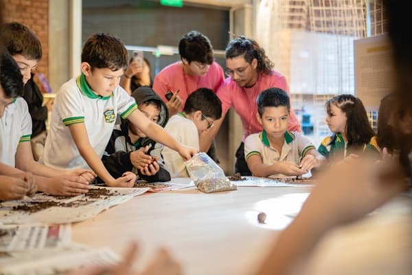 Museo de Ciencias se prepara para recibir al invierno