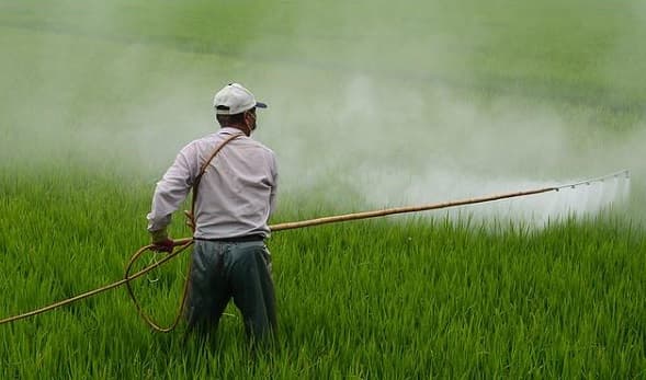 Europa exporta agrotóxicos vetados a Latinoamérica