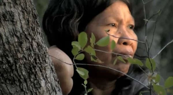 Temen genocidio de ayoreos por deforestación en Faro Moro: exigen al Estado detenerla