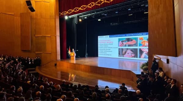 Gobierno presenta estrategia integral para combatir la violencia intrafamiliar