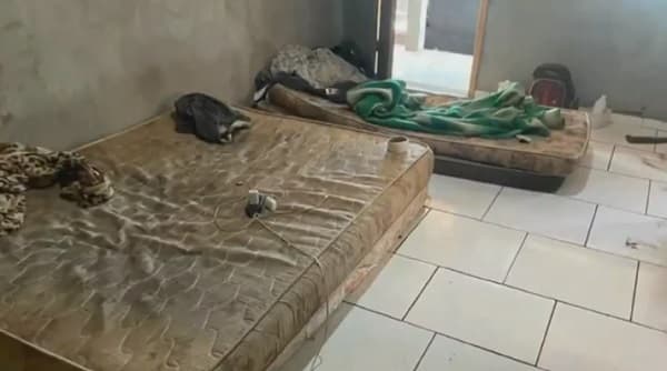 Rescatan a nueve paraguayos esclavizados en plantación brasileña