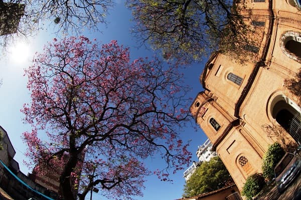 Sábado caluroso con vientos del norte, anuncia Meteorología
