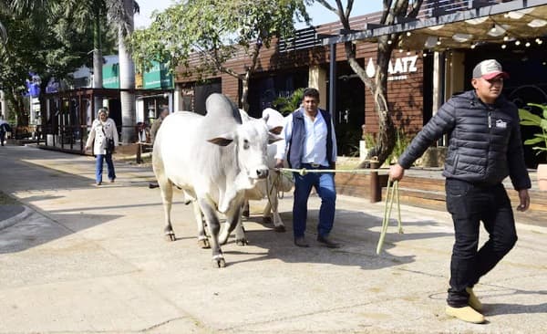 ARP y UIP se separan para la organización de la Expo, pero aseguran su continuidad