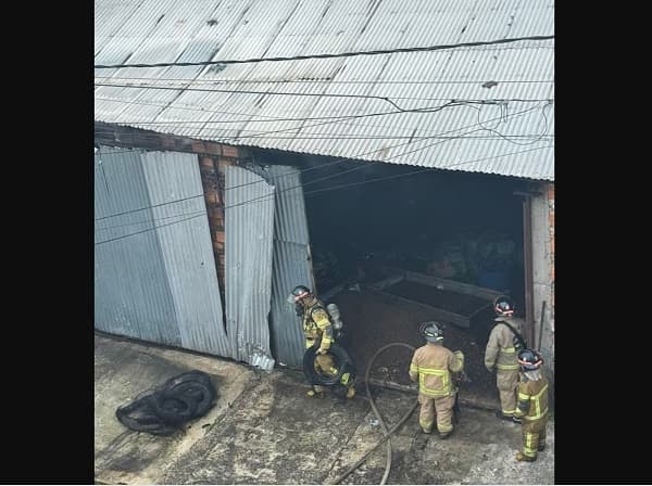 Incendio en depósito de pallets en Corredor Vial Botánico