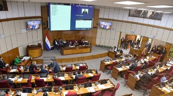 Senado paraguayo tratará proyecto de control a oenegés en sesión extra el lunes