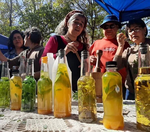 Sábado de Feria Agroecológica en la Plaza Italia: Talleres de carrulim y cerámica