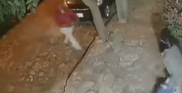 Cónsul argentina es asaltada y golpeada cerca de su casa en Asunción