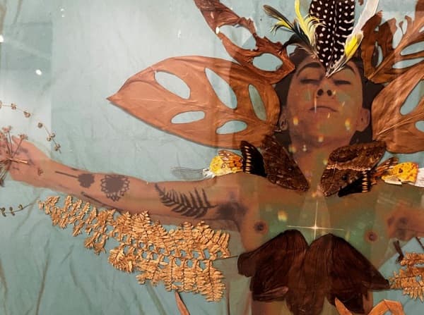 “A través de las grietas”: Una exposición que explora el ecofeminismo en Paraguay