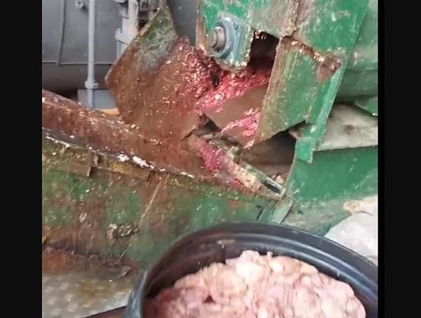 Clausuran cuatro frigoríficos en Tablada Nueva por graves infracciones sanitarias