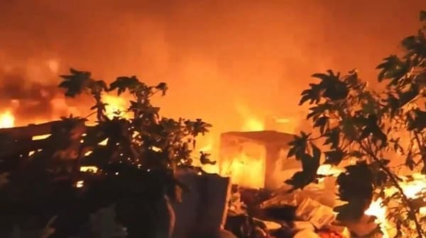 Incendio arrasa con granja recicladora en el Bañado Sur: animales muertos y mercaderías perdidas