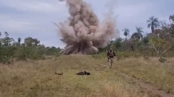 Desmantelan pistas clandestinas en Parque Nacional Paso Bravo
