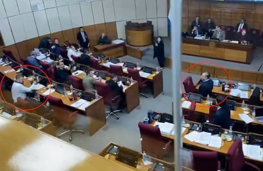 Senado en caos: Bastón de Stroessner desata altercado