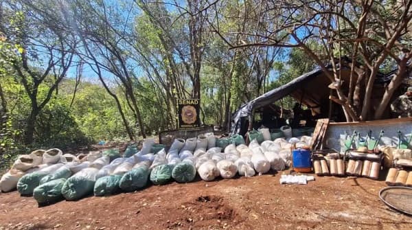 Senad desmantela sofisticado campamento de procesamiento de droga