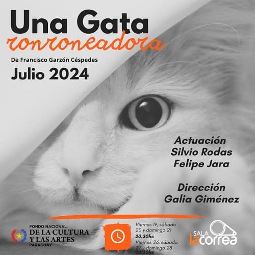 'Una Gata Ronroneadora': Magia teatral llega a Sala La Correa