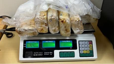 Dos paraguayos detenidos por tráfico de cocaína en Foz de Iguazú