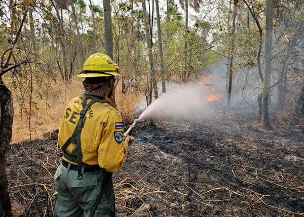Identifican cuatro zonas de origen de incendios en Fuerte Olimpo