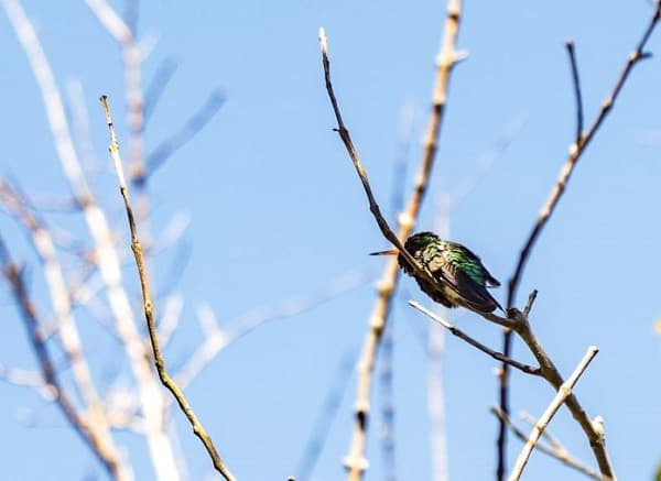 Ola de calor y vientos fuertes azotan Paraguay este sábado