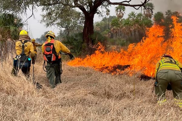 Chaco en llamas: Más de 50.000 hectáreas consumidas por incendios