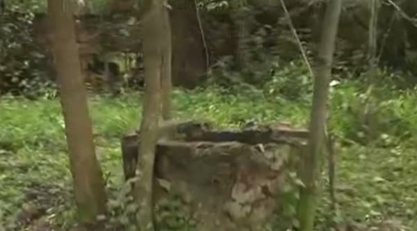 Cuerpo femenino hallado en pozo de Limpio desata investigación