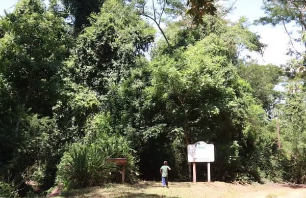 Lluvias extinguen focos de calor en áreas protegidas