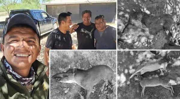 Escándalo en el Chaco: policías ligados a caza furtiva