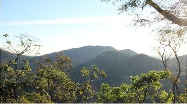 Jornada fresca al amanecer y calurosa en gran parte del país