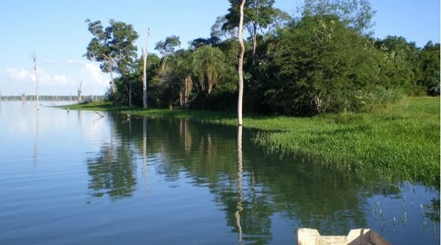 Imputan a dos hombres por cazar animales en peligro de extinción