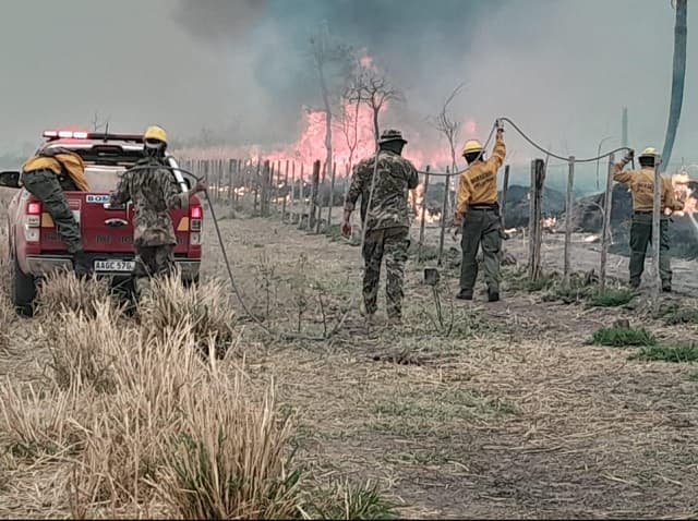 Experta critica reacción tardía de Paraguay ante los incendios