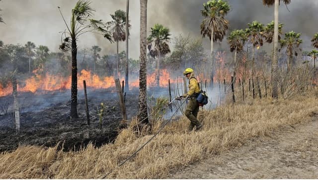 Fiscalía investiga fincas por incendio en  Chovoreca