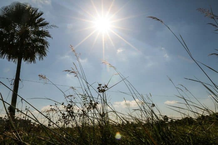 Altas temperaturas y vientos del norte marcarán el inicio de la semana