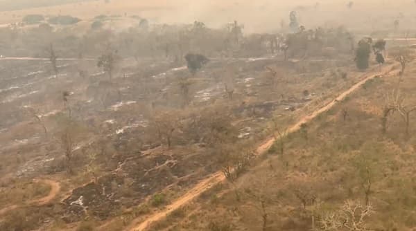 Pueblos indígenas responsabilizan a empresas por incendios en el Chaco