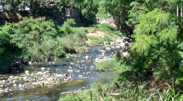 Residuos en arroyos liberan químicos tóxicos que amenazan la salud y el ambiente