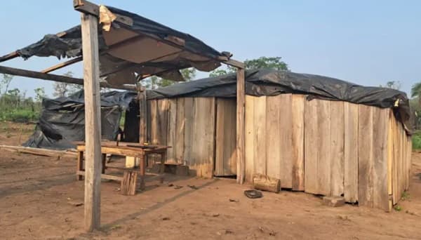 Desalojan tierras ocupadas ilegalmente en Bella Vista Norte