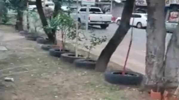 Vecina de Luque embellece paseo central, pero Comuna ordena retirar plantas