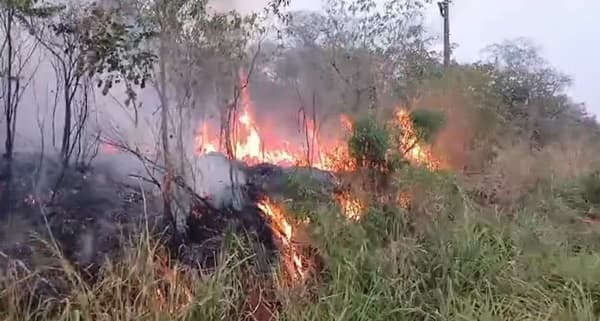 Guardaparques controlan nuevo incendio en el Parque Nacional Cerro Corá