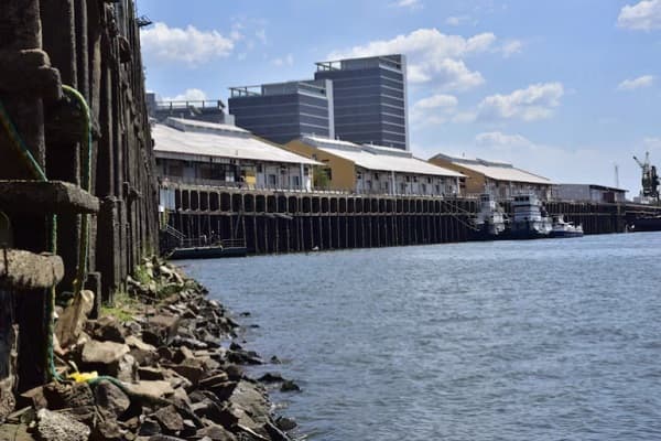 Pantanal: Clave para recuperar el nivel del río Paraguay