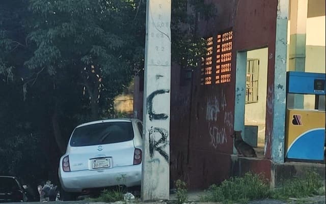 Aparición de grafitis del Clan Rotela alarma a vecinos en Sajonia