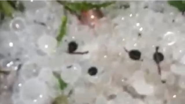 Granizada afecta a Itapúa y Alto Paraná: daños en infraestructuras y cortes de energía