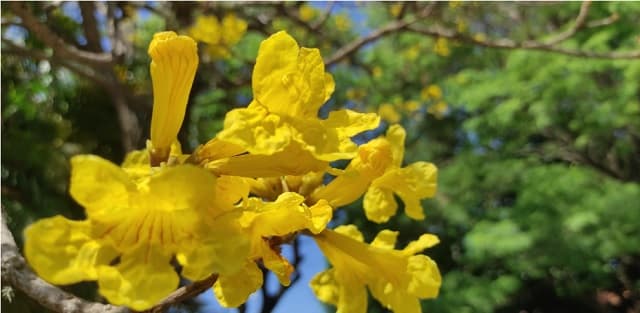 Se anticipa una jornada calurosa con tormentas en diversas áreas del país
