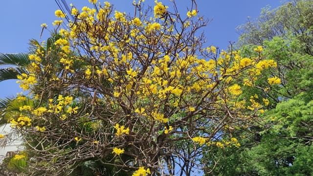 Sábado caluroso con vientos del norte y rotaciones variables